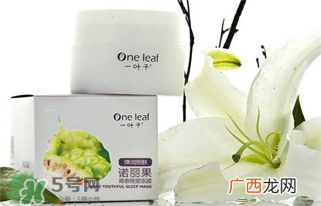 一叶子睡眠面膜好用吗?一叶子睡眠面膜怎么样?