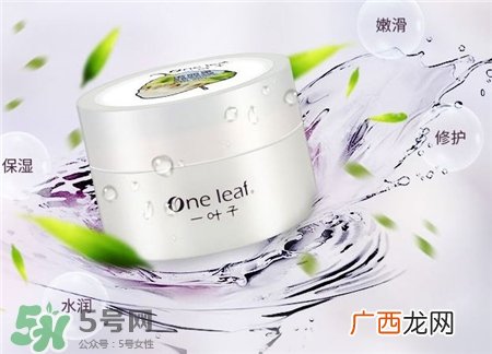 一叶子睡眠面膜好用吗?一叶子睡眠面膜怎么样?