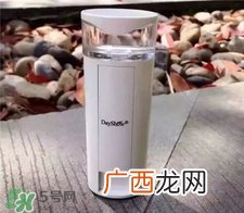 dayshow补水仪多少钱?dayshow补水仪价格