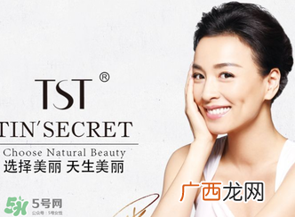 TST是哪个国家的牌子?TST是国内还是国外的品牌?