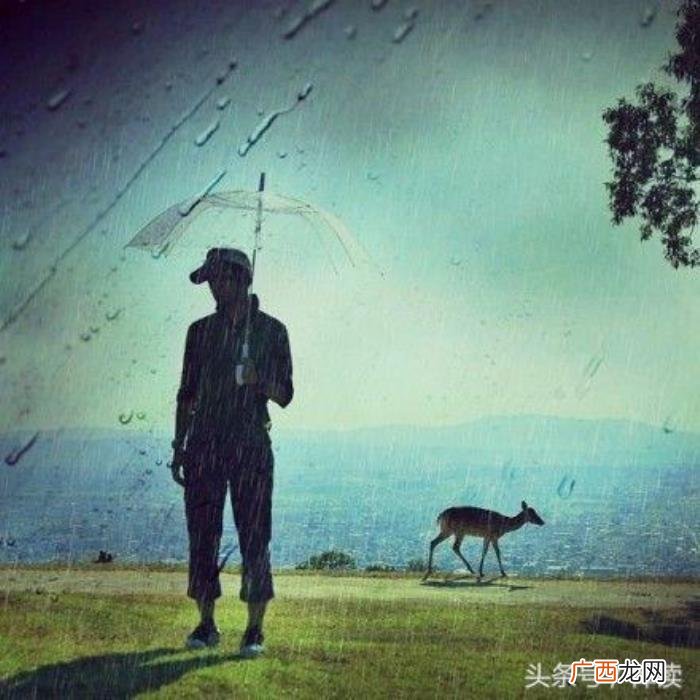 一切都会慢慢变好的 一切都会好的经典句子