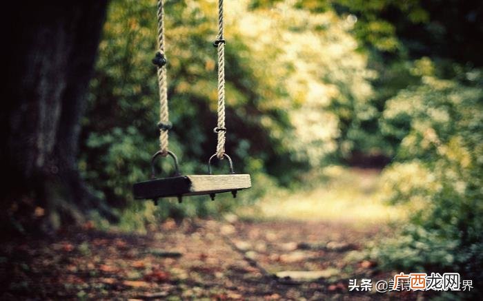 这是关于孤独最好的诠释 孤独的最高境界一句话