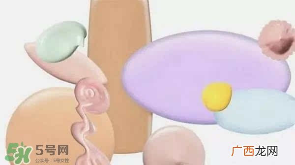 妆前产品什么牌子好用 什么牌子的妆前产品好用