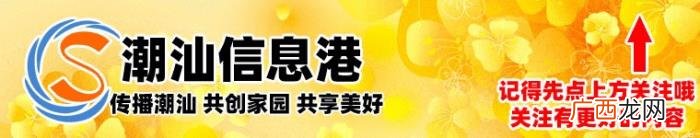 杨千嬅祖籍，祖籍潮汕天后级歌手杨千嬅汕头演唱会