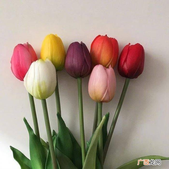 感恩母亲节的简短祝福短信 母亲节短信祝福