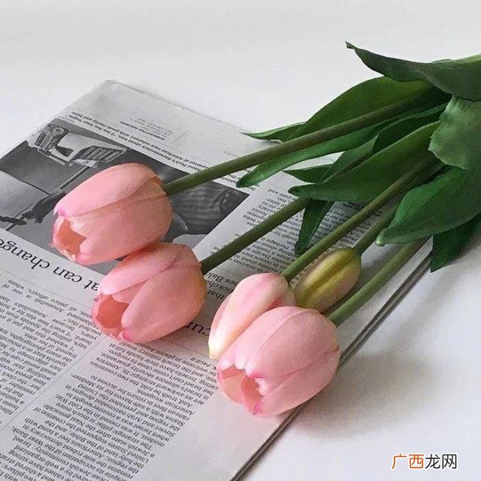 感恩母亲节的简短祝福短信 母亲节短信祝福
