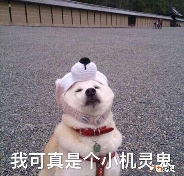 快来看看这些有意思的群名称 qq群名大全