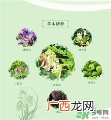 兰心惠质面膜好用吗?兰心惠质面膜怎么样?