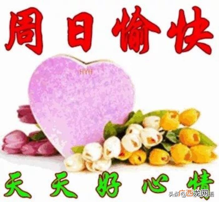 周未早上最暖心的祝福语句大全 周末祝福短信大全