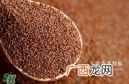 海藻面膜要泡多久最好？海藻面膜要泡多长时间？