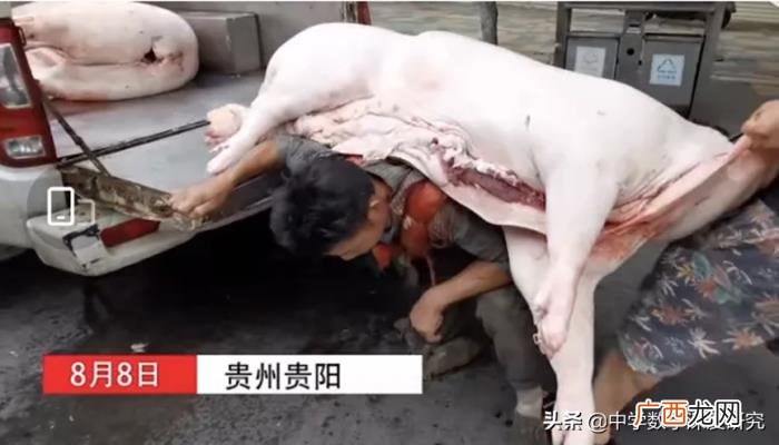 这些令人深思回味的故事 令人深思的事