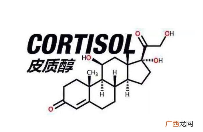 肚子上面的脂肪太顽固 减肚子赘肉简单方法