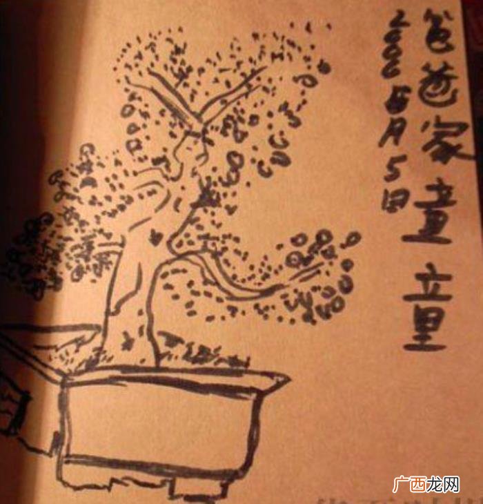 窦靖童窦唯，终于再次看到窦唯和窦靖童父女同框