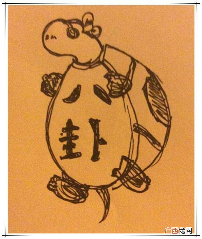 安又琪相亲，超女冠军安又琪如今更落魄到上相亲节目