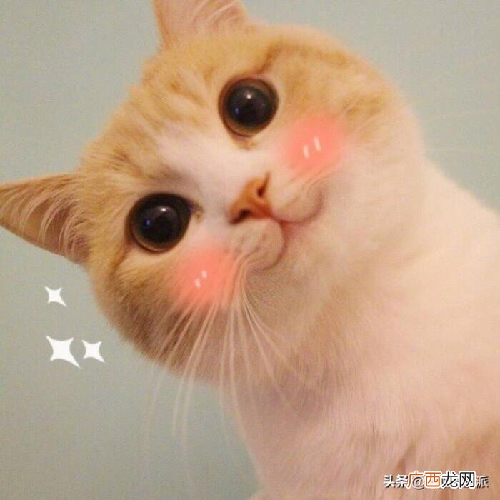 可可爱爱的道歉文案 道歉的句子