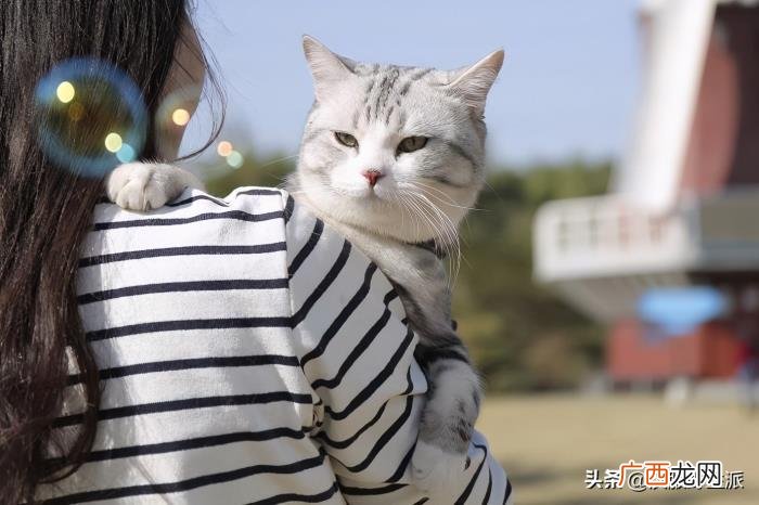可可爱爱的道歉文案 道歉的句子
