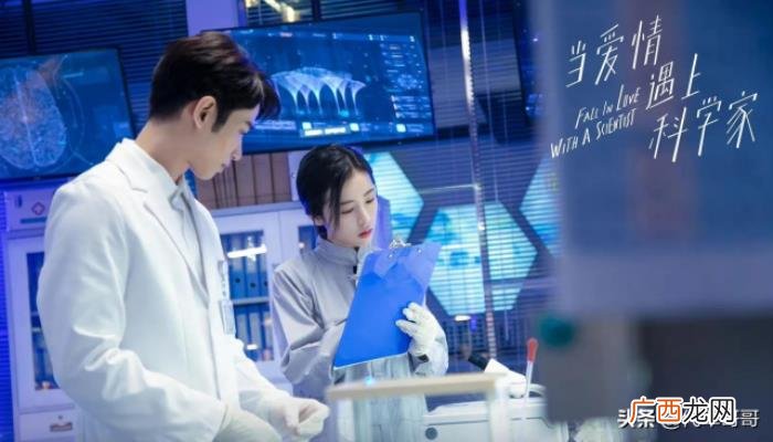 热播电视剧,盘点2021年10月热播的八部电视剧