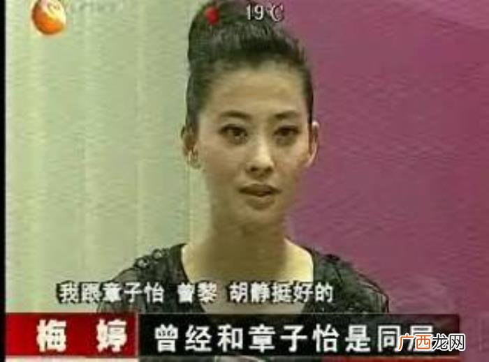 秦海璐梅婷,章子怡、秦海璐、梅婷、胡静同场争艳