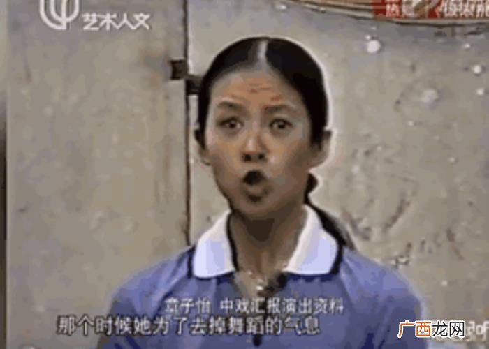 秦海璐梅婷,章子怡、秦海璐、梅婷、胡静同场争艳