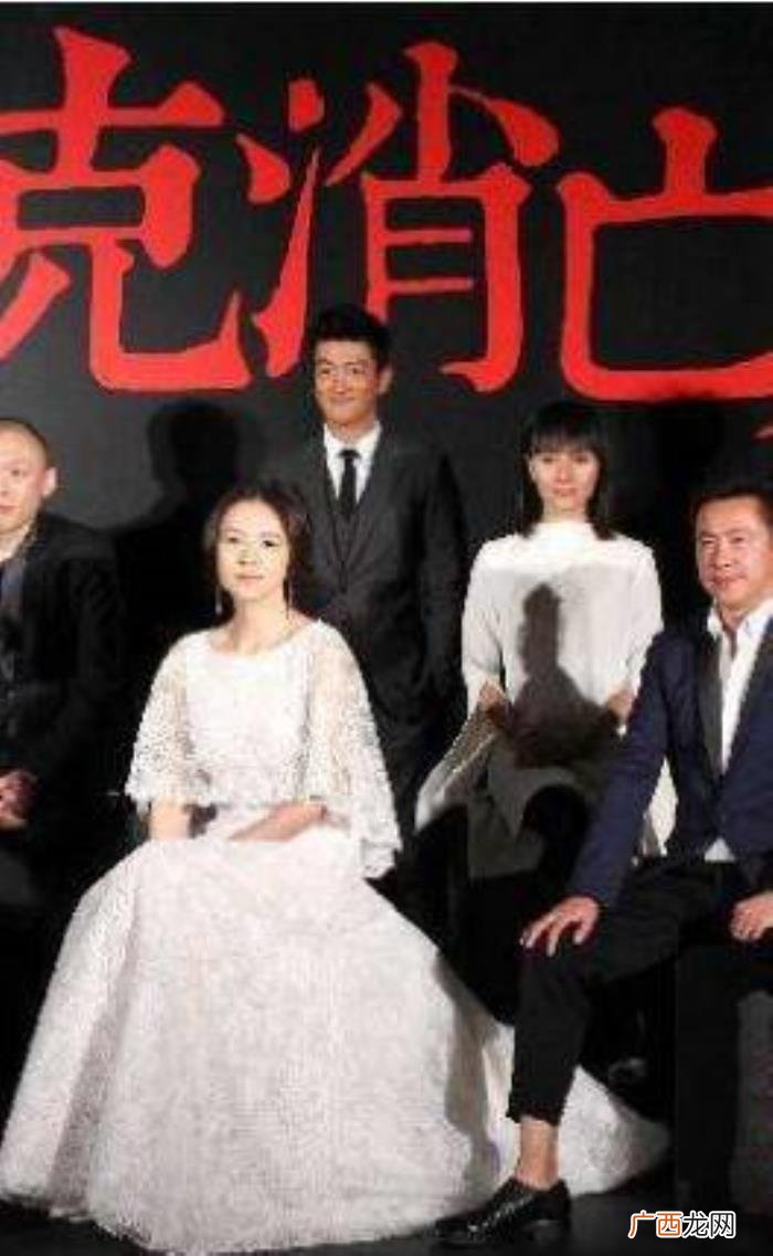 秦海璐梅婷,章子怡、秦海璐、梅婷、胡静同场争艳
