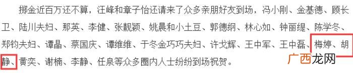 秦海璐梅婷,章子怡、秦海璐、梅婷、胡静同场争艳