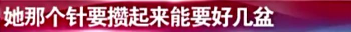 秦海璐梅婷,章子怡、秦海璐、梅婷、胡静同场争艳