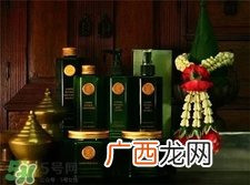 harnn是什么牌子?harnn是哪个国家的?