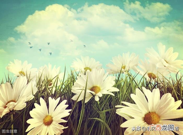 收藏有关描写夏天的好句好段 描写夏天的简单短句