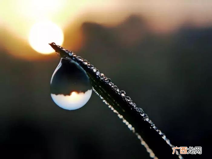 雨天也能用手机拍出唯美照 雨天图片唯美