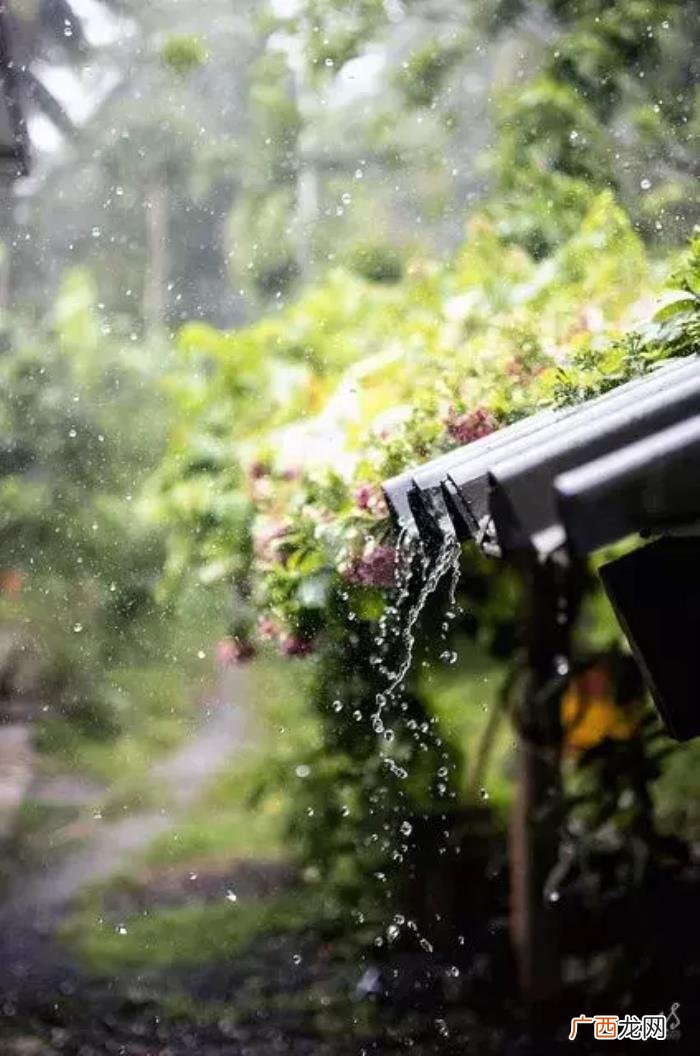 雨天也能用手机拍出唯美照 雨天图片唯美
