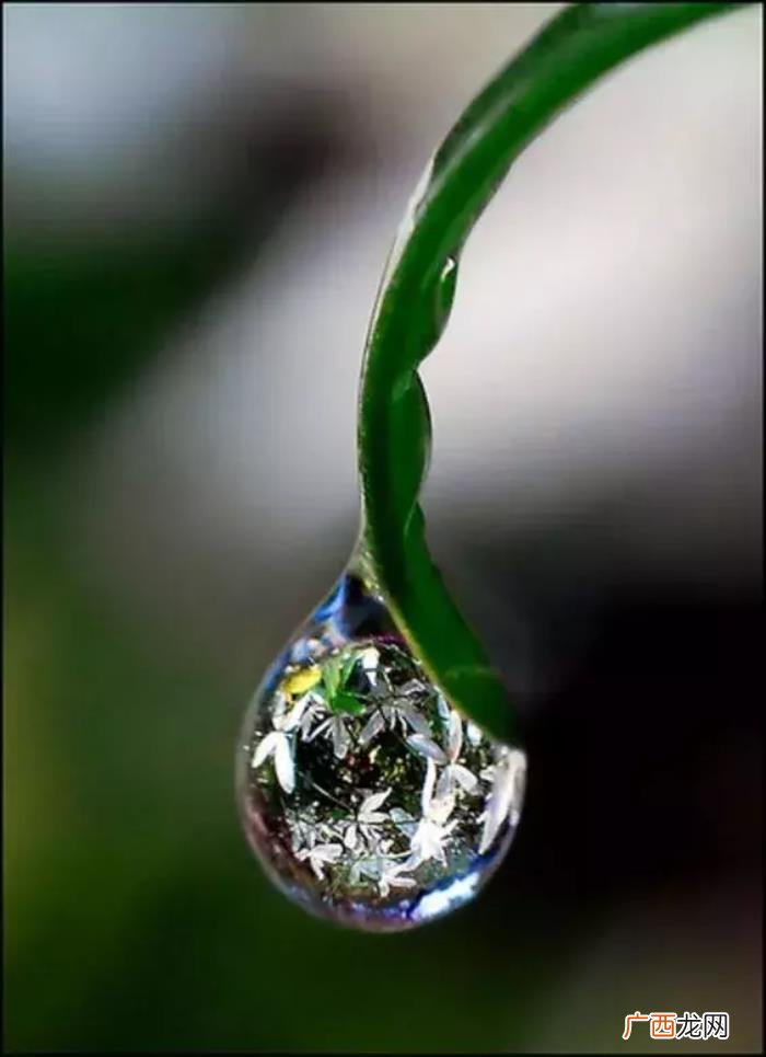 雨天也能用手机拍出唯美照 雨天图片唯美