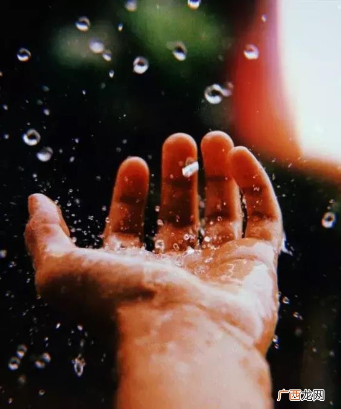 雨天也能用手机拍出唯美照 雨天图片唯美