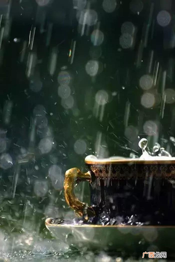 雨天也能用手机拍出唯美照 雨天图片唯美