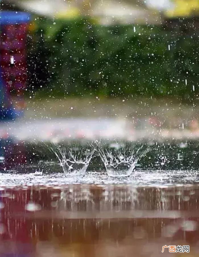 雨天也能用手机拍出唯美照 雨天图片唯美