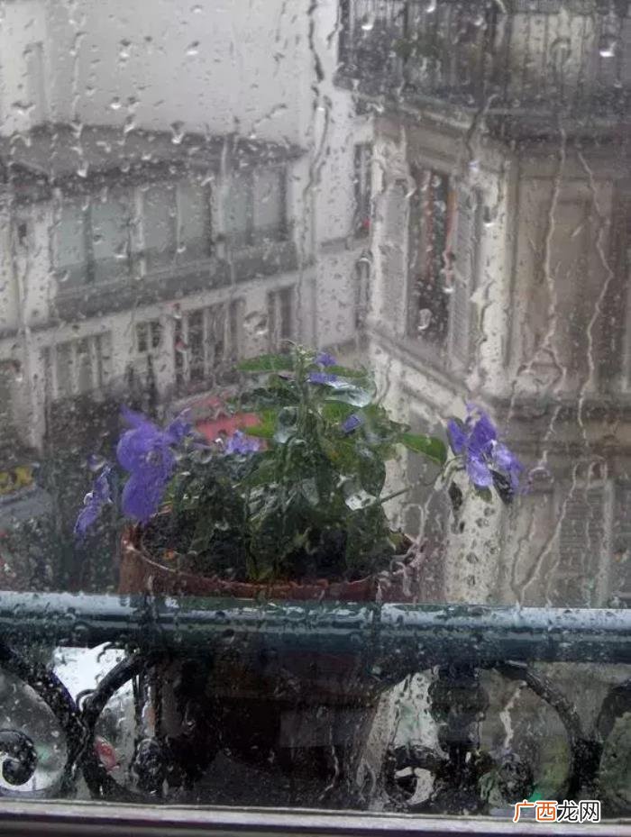 雨天也能用手机拍出唯美照 雨天图片唯美