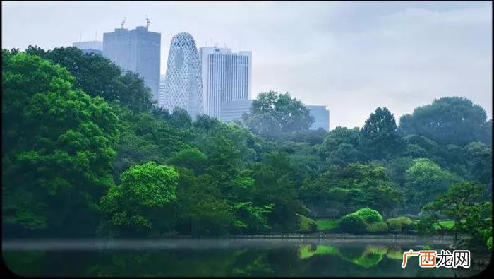 雨天也能用手机拍出唯美照 雨天图片唯美