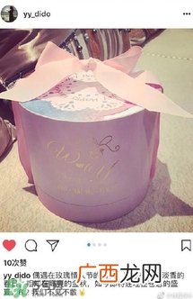 张玮巴厘岛婚礼伴手礼同款 LPD莱派蒂防霾净肤霜怎么样