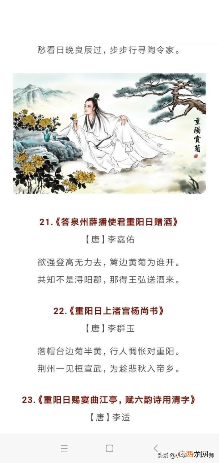 关于重阳节的30首古诗词 关于重阳节的诗