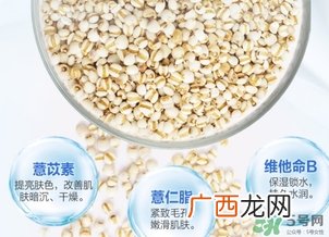 薏仁水可以天天敷吗？薏仁水几天敷一次？