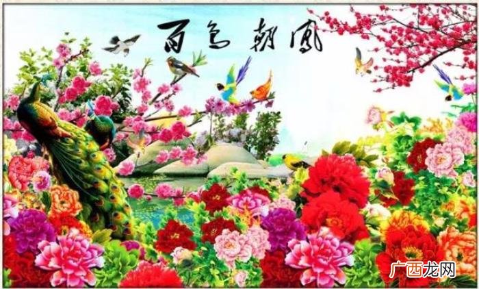 百鸟朝凤图，难得一见的百鸟朝凤花鸟图送给大家