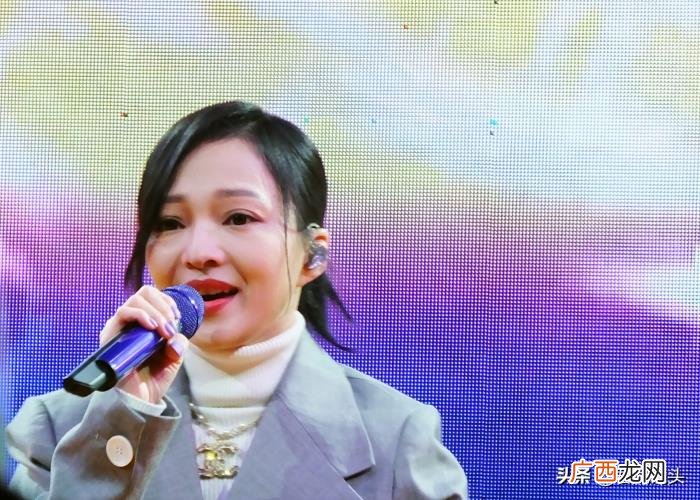 张韶涵人气，张韶涵湖北宜昌露天商演人气爆棚致交通瘫痪