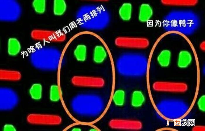 周冬雨屏幕，周冬雨是怎么和手机屏幕扯上关系的