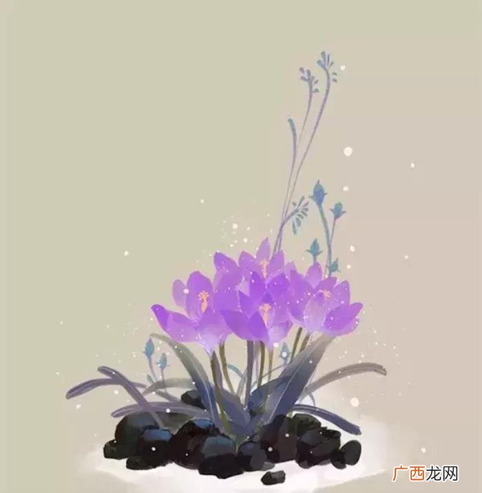 历史上17个最出人意料的神回复 神回复集锦
