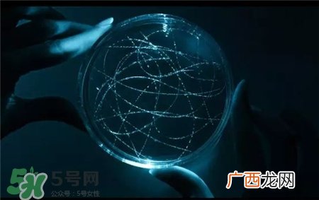 碧欧泉奇迹水是精华吗?碧欧泉奇迹水适合年龄