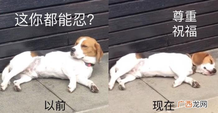 张雨绮公司，李柄熹正式成为张雨绮公司签约艺人