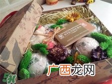 stenders施丹兰是什么牌子?施丹兰是哪个国家的?