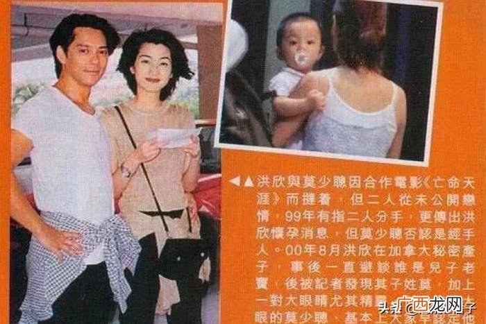 郑爽刘诗诗,郑爽、刘诗诗、张靓颖……她们都是恋爱脑