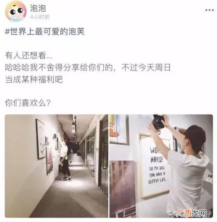 郑爽刘诗诗,郑爽、刘诗诗、张靓颖……她们都是恋爱脑