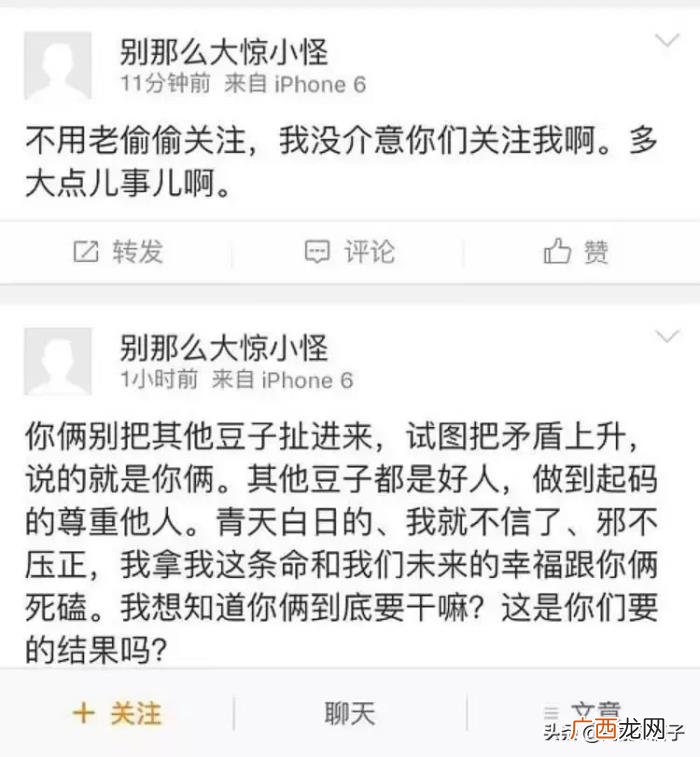 郑爽刘诗诗,郑爽、刘诗诗、张靓颖……她们都是恋爱脑