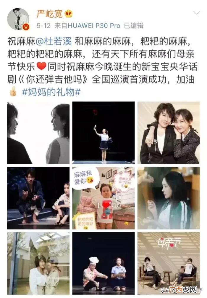 郑爽刘诗诗,郑爽、刘诗诗、张靓颖……她们都是恋爱脑